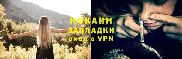 ГАЛЛЮЦИНОГЕННЫЕ ГРИБЫ Гусь-Хрустальный