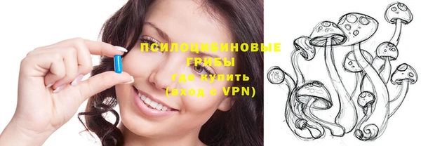 ГАЛЛЮЦИНОГЕННЫЕ ГРИБЫ Гусь-Хрустальный