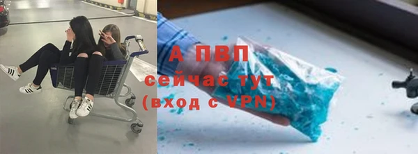 ГАЛЛЮЦИНОГЕННЫЕ ГРИБЫ Гусь-Хрустальный