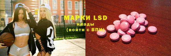ГАЛЛЮЦИНОГЕННЫЕ ГРИБЫ Гусь-Хрустальный