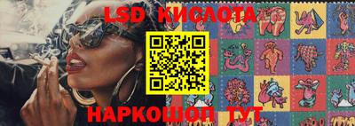 PSILOCYBIN Бийск