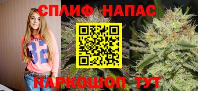 гашик Балашиха