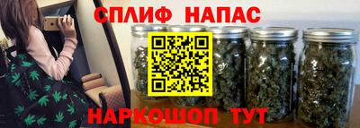 гашик Балашиха
