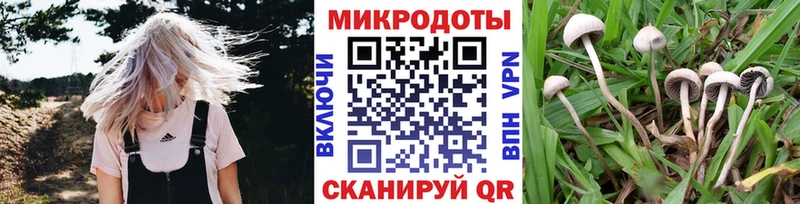 купить наркотики цена Видное omg рабочий сайт Псилоцибиновые грибы прущие грибы