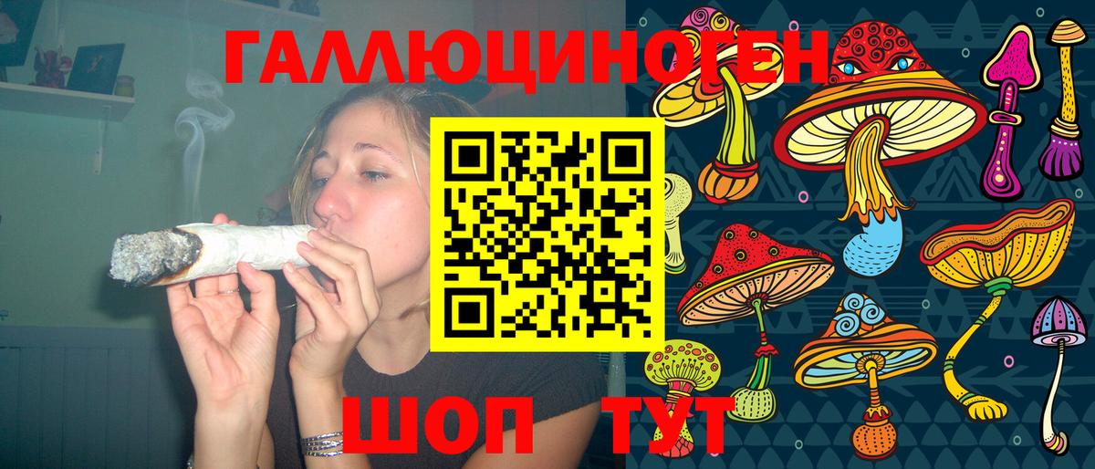 Псилоцибиновые грибы Psilocybe Видное