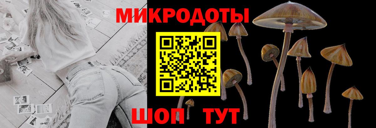 Псилоцибиновые грибы мицелий Видное